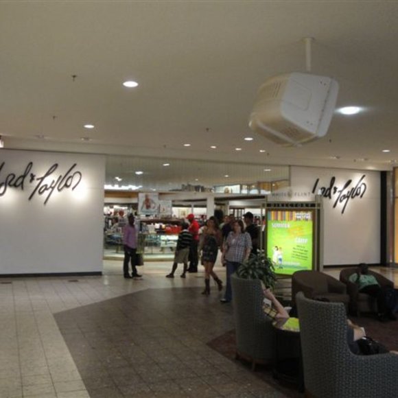 Meet your Posher, Nancy - Picture 5 of 7